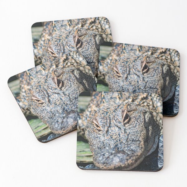Item preview, FaceTime with the Alligator designed and sold by KensLensDesigns.