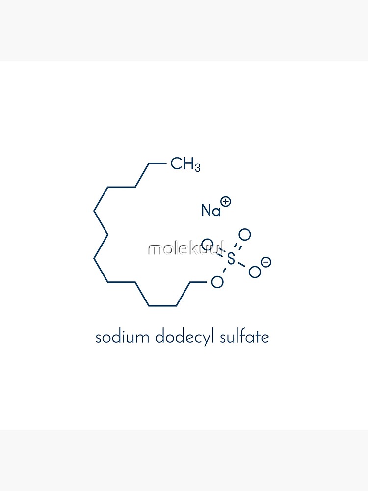 Sds sodium deals dodecyl sulfate