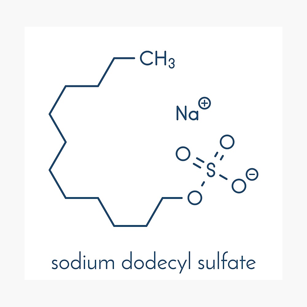 Sodium deals dodecyl sulphate