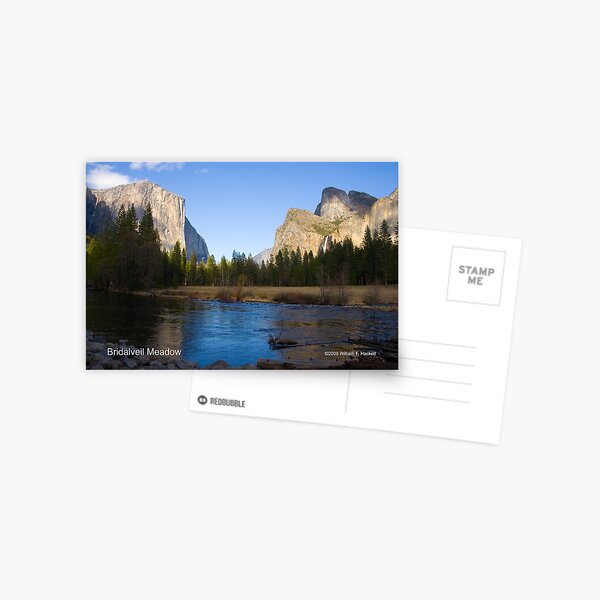 Bridalveil Meadow Postcard