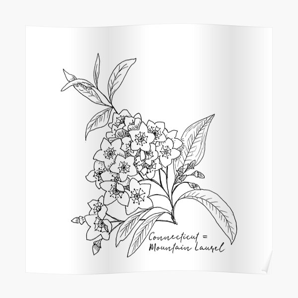vintage botanical mountain laurel floral tattoo for Maddie  Laurel tattoo  Floral tattoo sleeve Tattoos