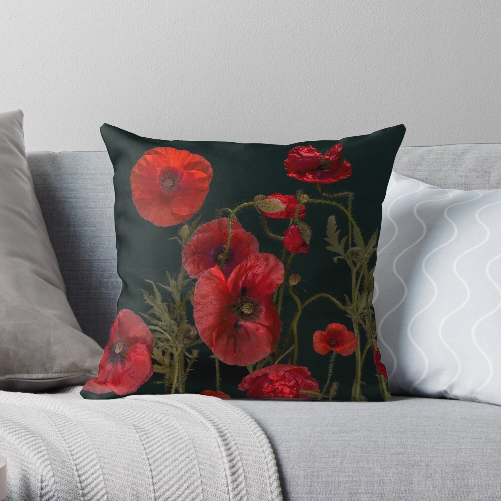 Poppy discount red cushions