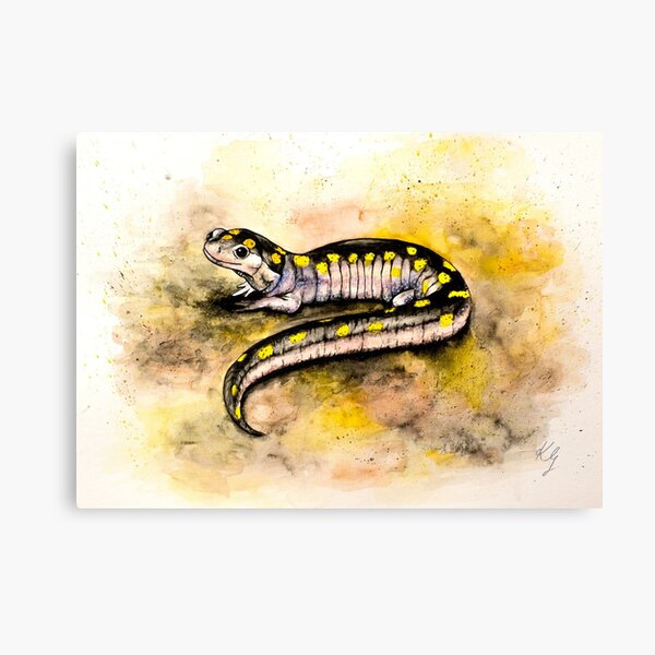 Spotted Salamander Canvas Print