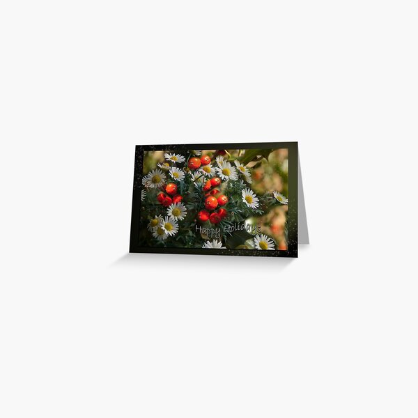 Daisies and Holy - Holidays greeting card Greeting Card