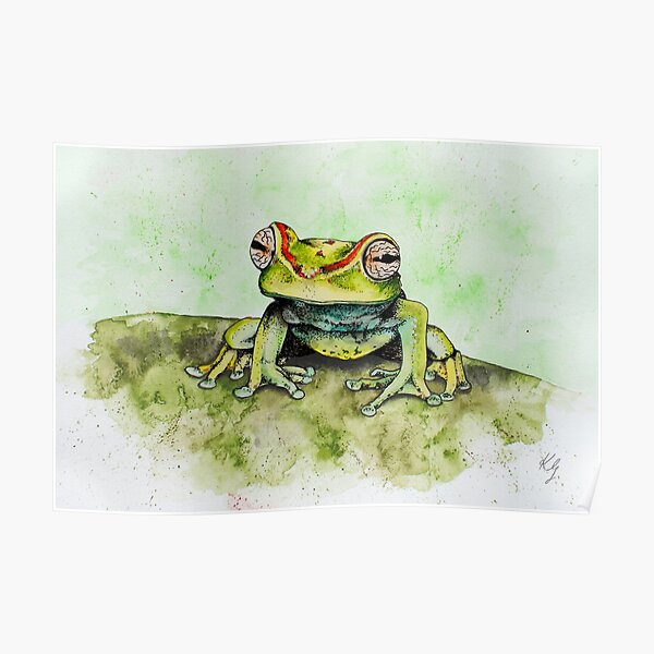Canal Zone Treefrog Poster
