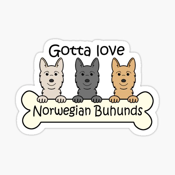 Norwegian Buhunds Gifts & Merchandise for Sale Redbubble