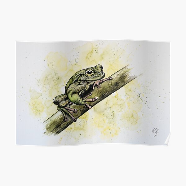 Exquisite Spike-thumbed Frog Poster