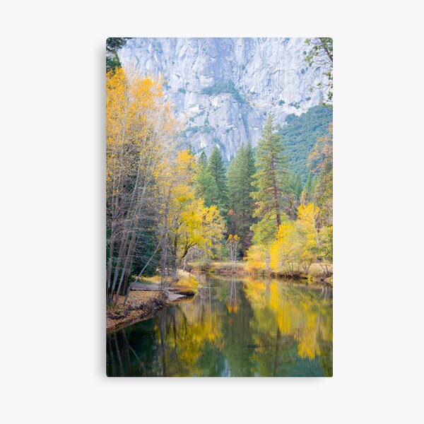 Merced River Foliage Canvas Print
