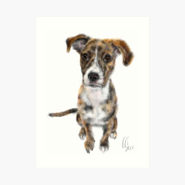 A Very Happy Puppy Dog Pooch Art Print
