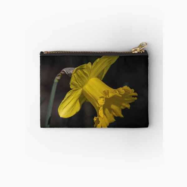 Item preview, Daffodil Currie Wing Garden Leith Park 20180828 3237  designed and sold by Fred Mitchell.