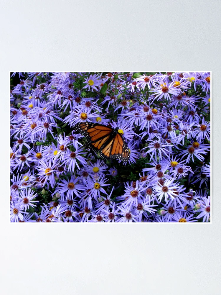 Thumbnail 1 of 3, Poster, Blending In designed and sold by grayjenny.