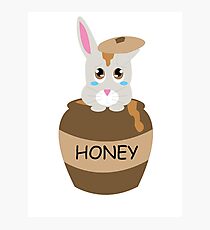 Honey Bunny Photographic Print