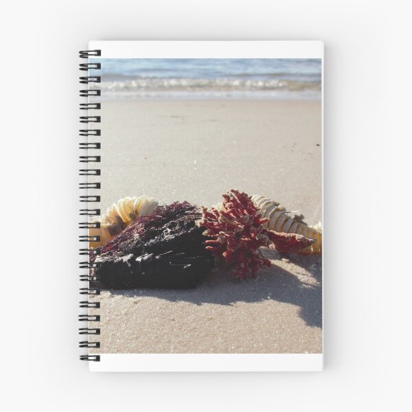 Item preview, Beach Still Life designed and sold by searchlight.