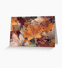 Autumn Leaves Greeting Card