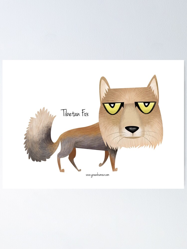 Poster Renard Tibetain Par Rohanchak Redbubble