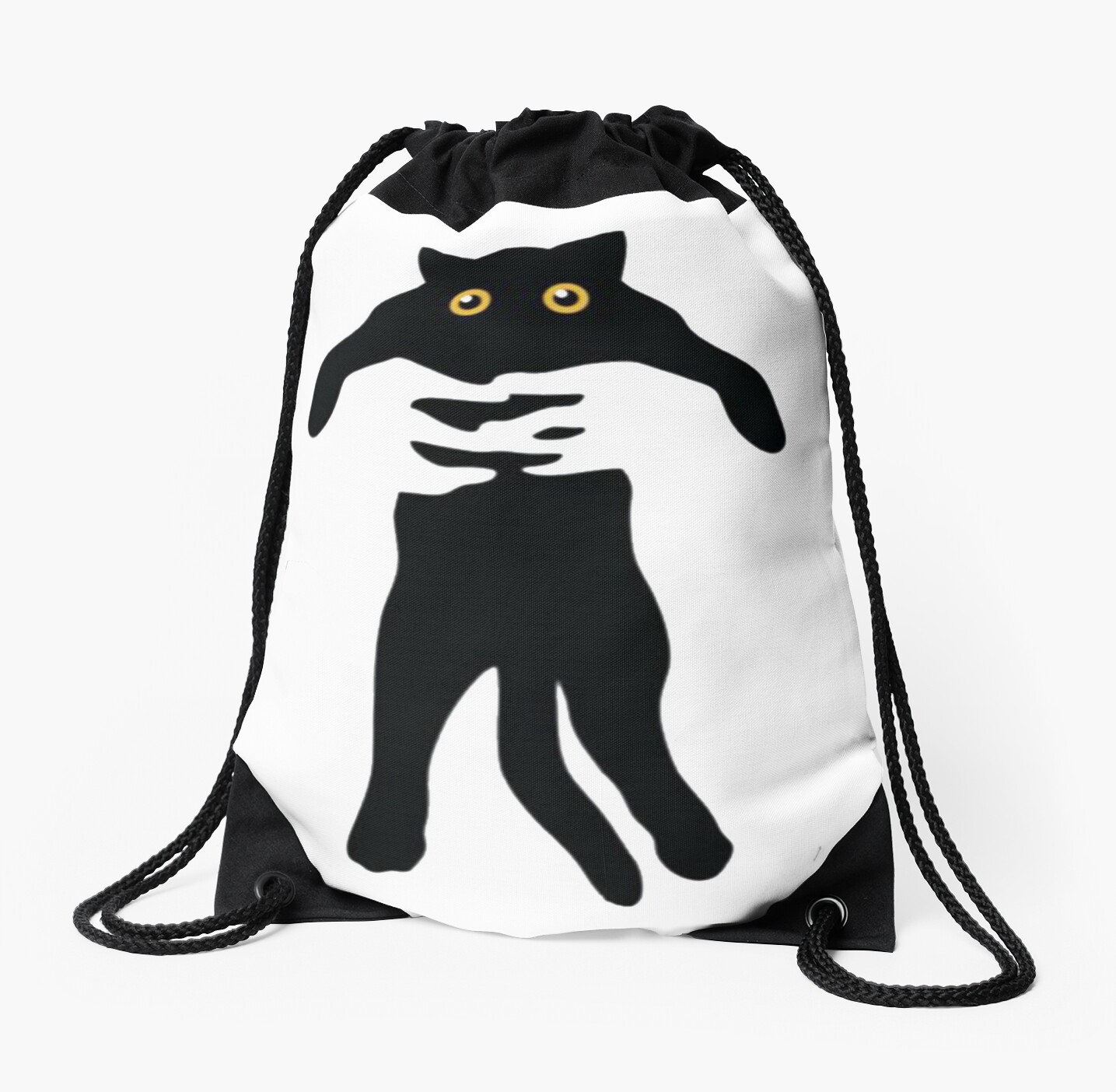 cat holding bag