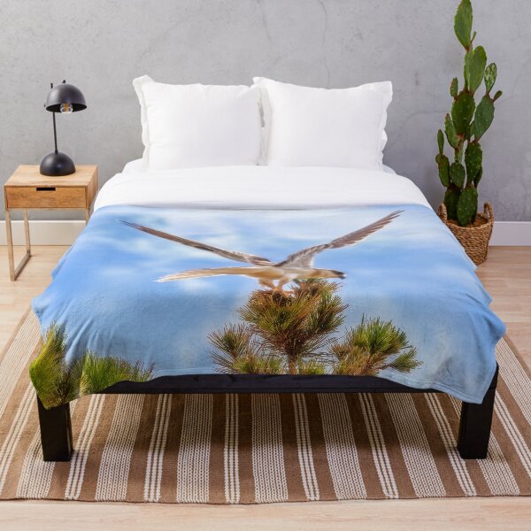 Item preview, Black Shouldered Kite, Mindarie, Perth, Western Australia designed and sold by Dave Catley.