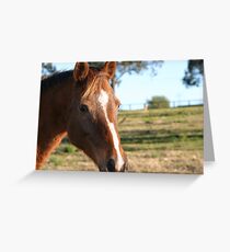 Brown Horse - Maraylya Grußkarte