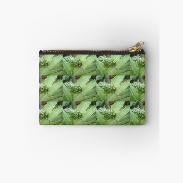 Item preview, Silver-spotted Bladderhopper on an Aloe designed and sold by BiodiversityRocks.