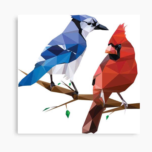 Northern Cardinal and Blue Jay by Dracarian on DeviantArt