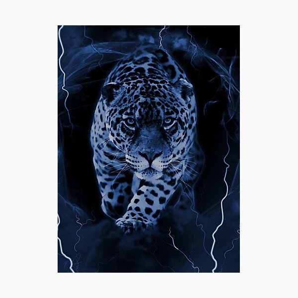 LORD JAGUAR Photographic Print