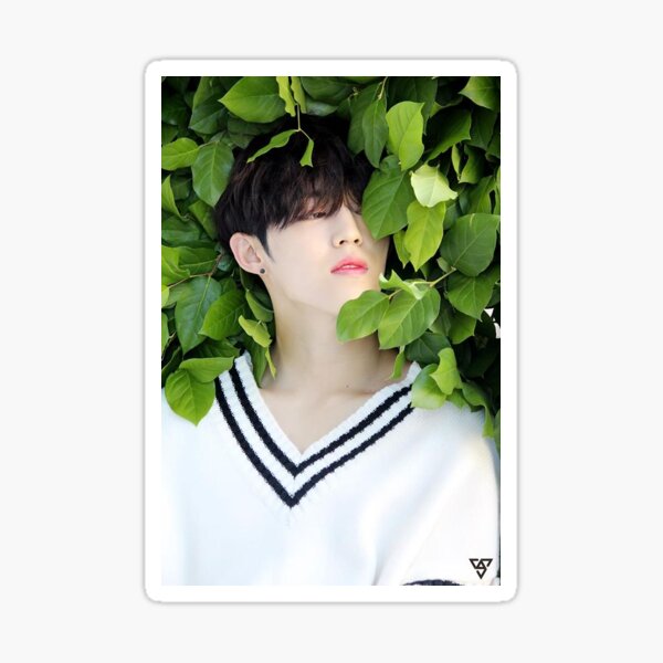 Item preview, Seventeen - S.Coups Sticker designed and sold by Magalyv98.