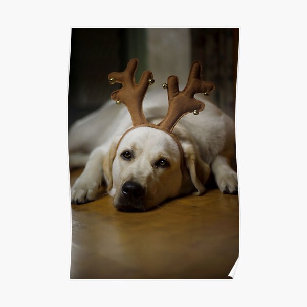 Getting Into The Spirit... Poster