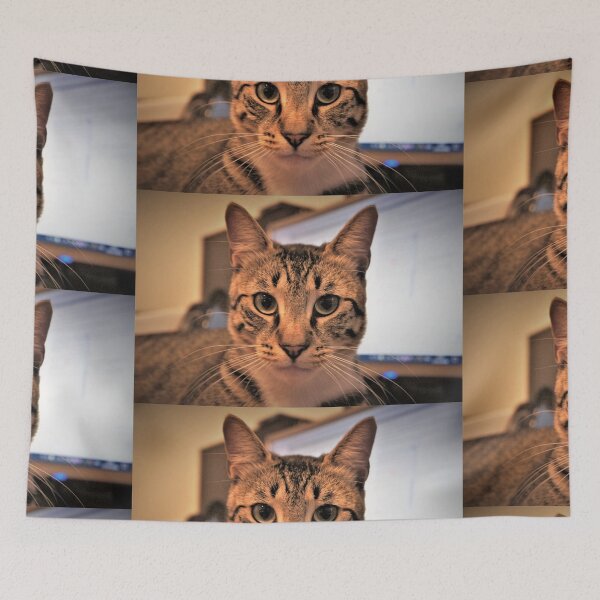 Item preview, Penetrating Eyes designed and sold by Giro Tavitian.