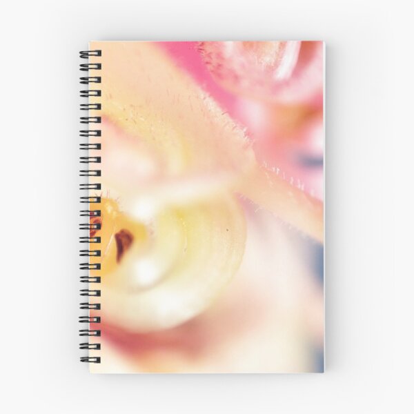 Item preview, Hidden Gem designed and sold by Cassie Kitching.