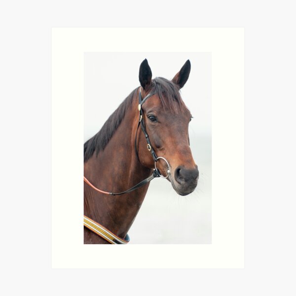 Item preview, Winx - Portrait - Altona Beach designed and sold by FastTrackPhotog.