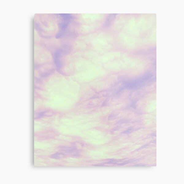 Random Captures R124d Metal Print