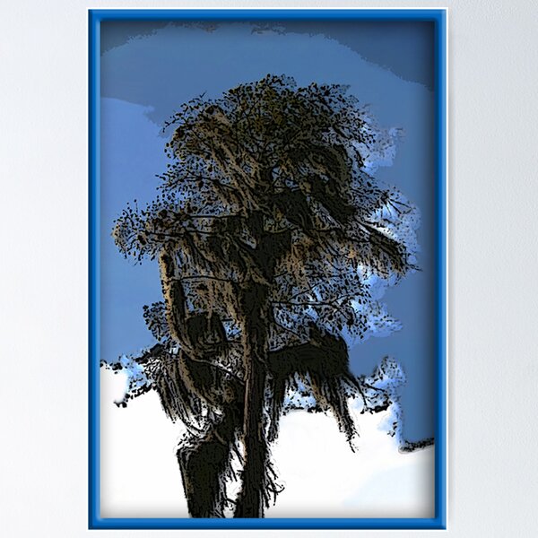 Item preview, Florida Cypress Tree designed and sold by glink.