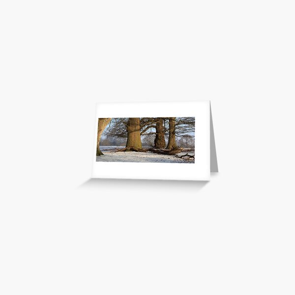 www.lizgarnett.com - Oak trees in Mersham le Hatch Deer Park Greeting Card