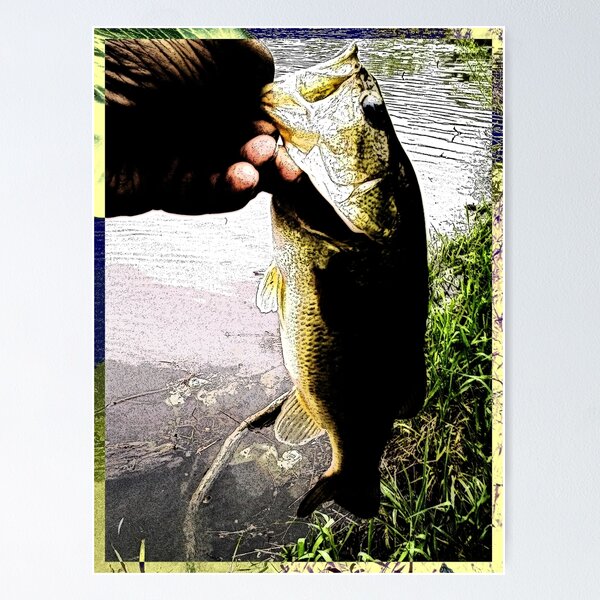 LARGEMOUTH BASS Freshwater Fish Wall Art Print Fishing Wildlife