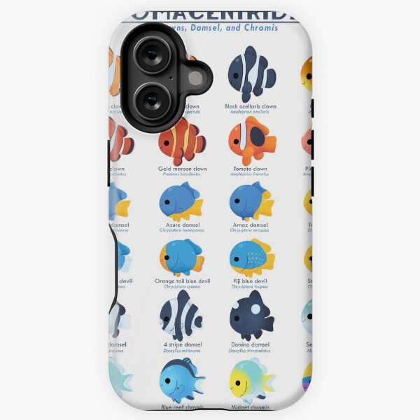 Item preview, Species Poster - Pomacentridae (Clownfish and Damselfish)  designed and sold by Comiquarium.