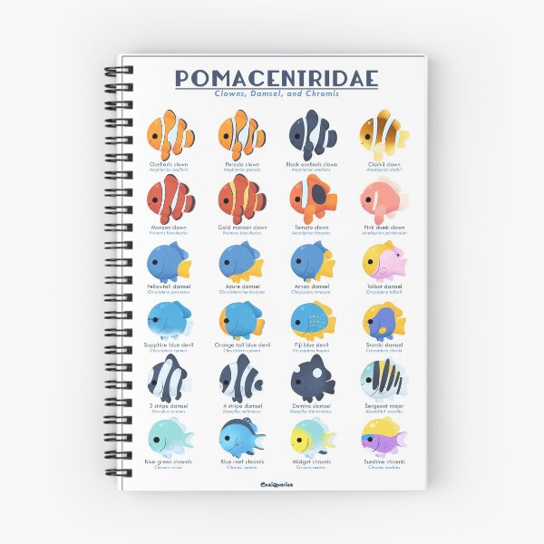 Item preview, Species Poster - Pomacentridae (Clownfish and Damselfish)  designed and sold by Comiquarium.