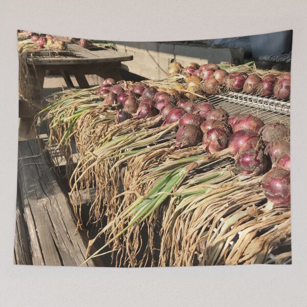 Item preview, Drying Onions designed and sold by Cynthia  Soucy.