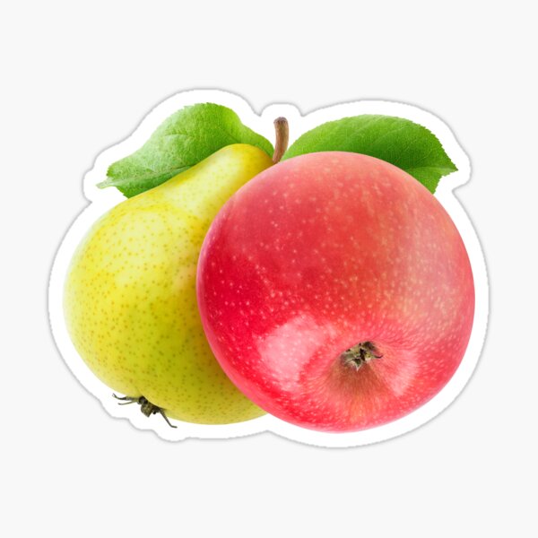 Apple And Pear Sticker For Sale By 6hands Redbubble 