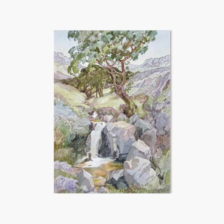 Rhinogs Art Board Print