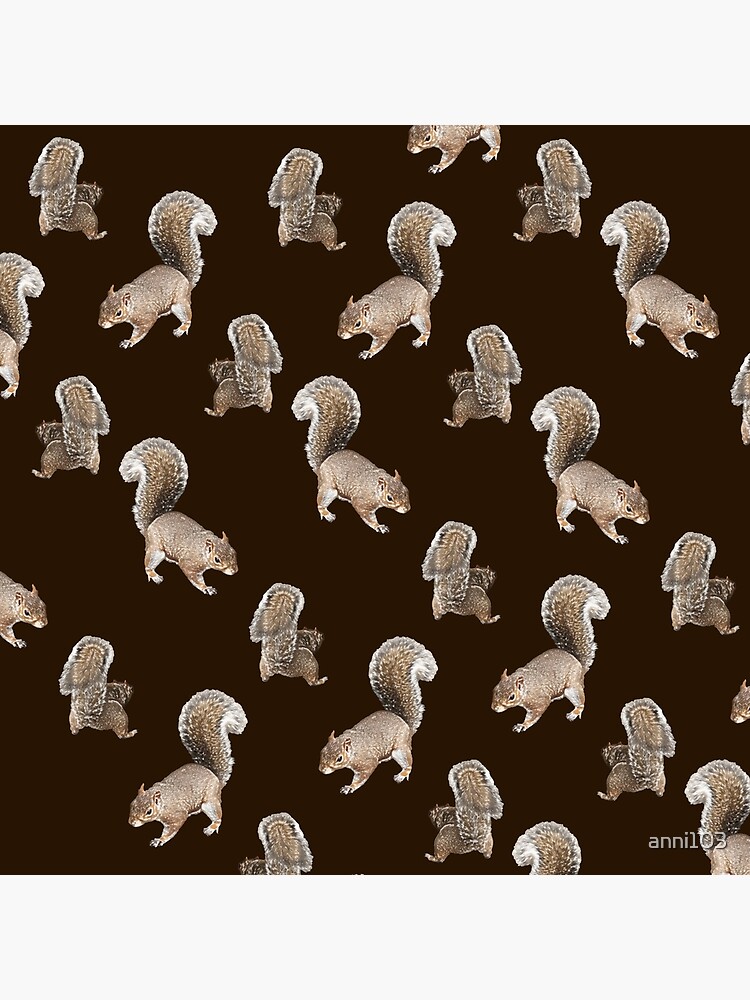 Squirreling by anni103