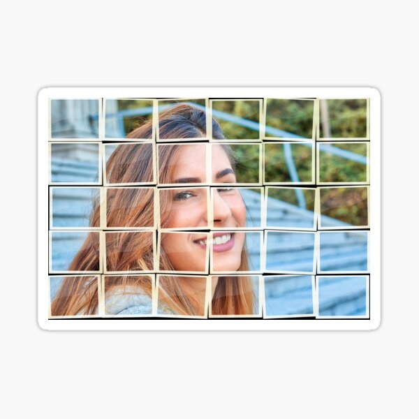 Mosaic of a beautiful woman Sticker