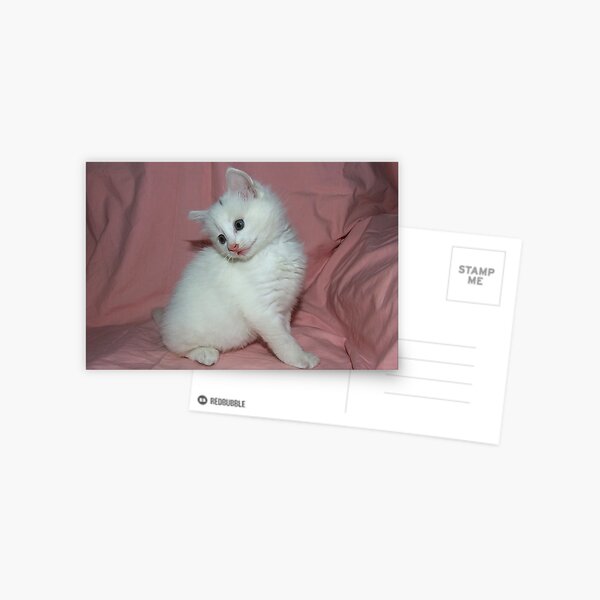 Hello Kitty Postcard