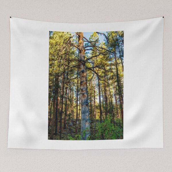 Item preview, Forest Deep designed and sold by BGSPhoto.