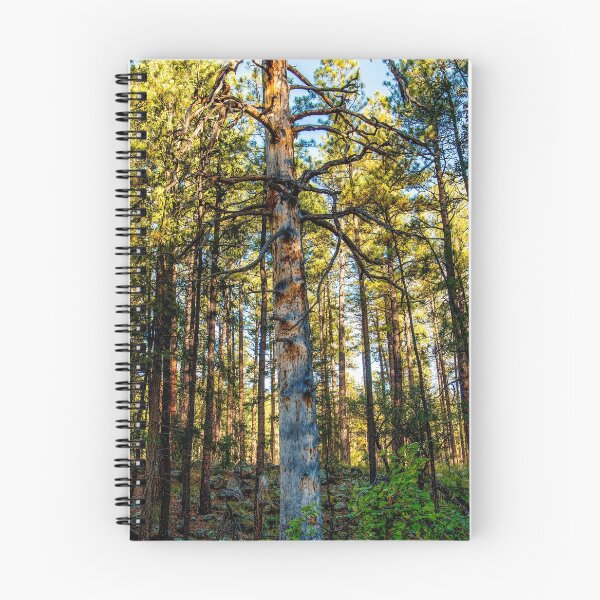 Item preview, Forest Deep designed and sold by BGSPhoto.