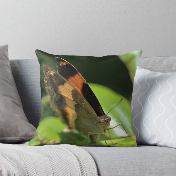 Item preview, Australian Lurcher Butterfly designed and sold by margotk.