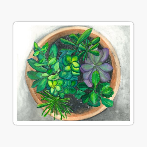 Succulents Sticker