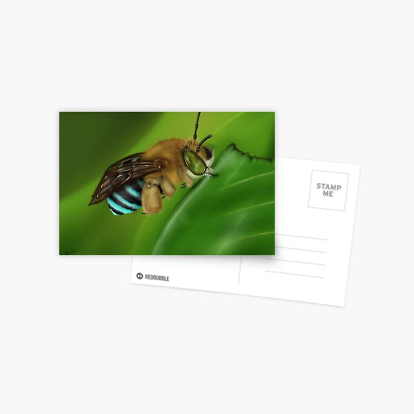 Blue-Banded Bee Postcard