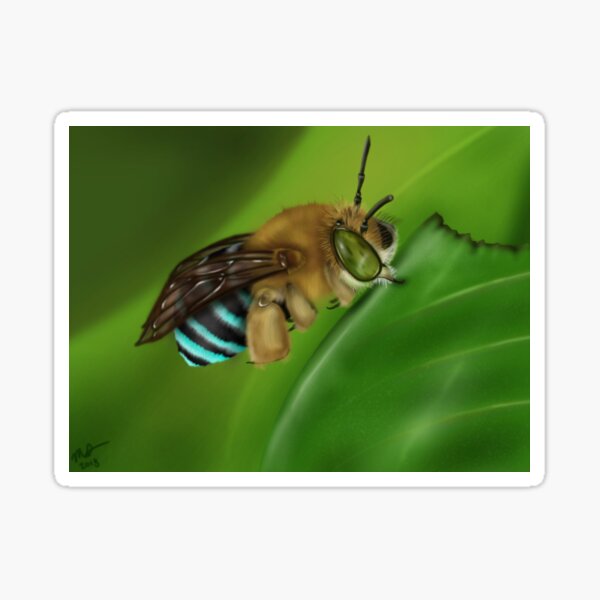 Blue-Banded Bee Sticker
