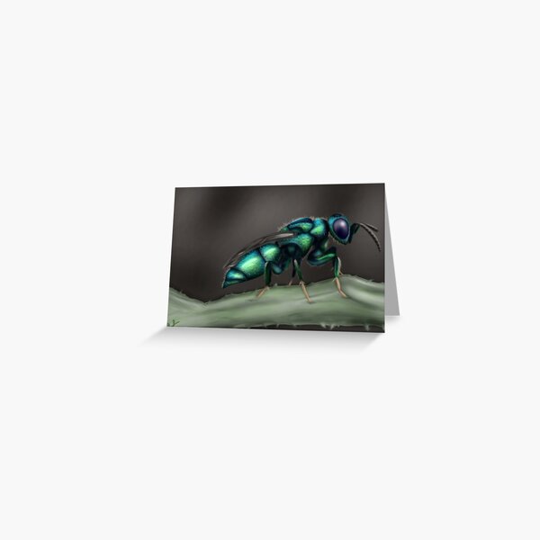 Cuckoo Wasp Greeting Card