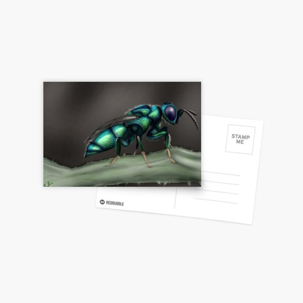 Cuckoo Wasp Postcard